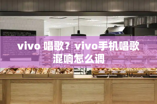 vivo 唱歌？vivo手机唱歌混响怎么调