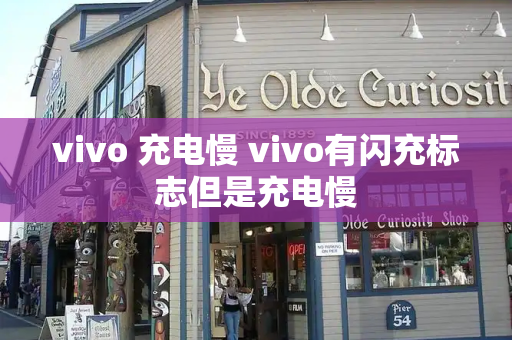 vivo 充电慢 vivo有闪充标志但是充电慢
