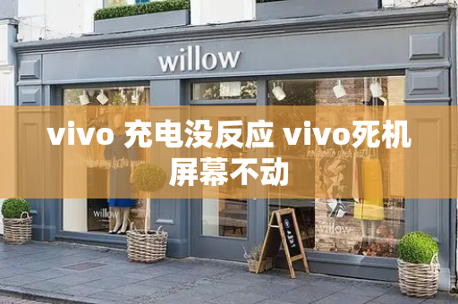 vivo 充电没反应 vivo死机屏幕不动