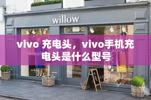 vivo 充电头，vivo手机充电头是什么型号
