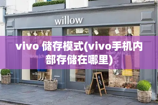 vivo 储存模式(vivo手机内部存储在哪里)