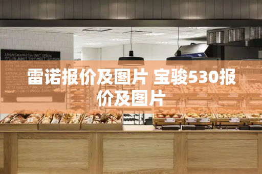 雷诺报价及图片 宝骏530报价及图片