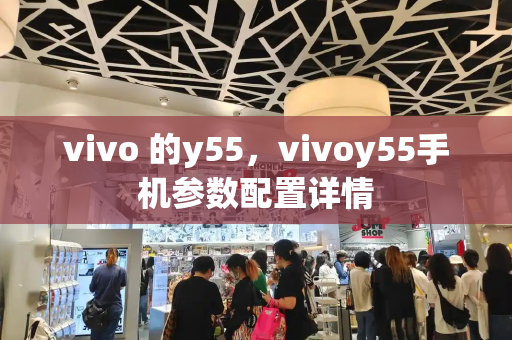vivo 的y55，vivoy55手机参数配置详情
