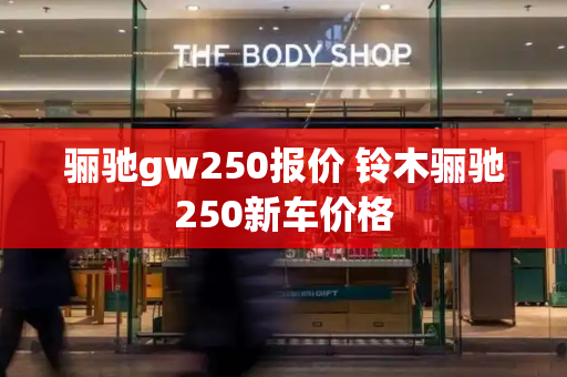 骊驰gw250报价 铃木骊驰250新车价格-第1张图片-星选测评