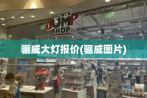 骊威大灯报价(骊威图片)-第1张图片-星选测评