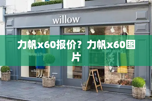 力帆x60报价？力帆x60图片-第1张图片-星选测评