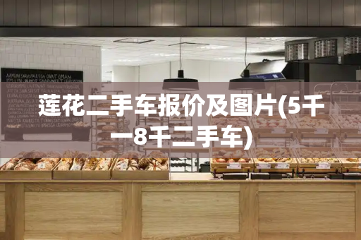 莲花二手车报价及图片(5千一8千二手车)
