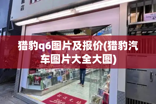 猎豹q6图片及报价(猎豹汽车图片大全大图)