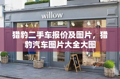 猎豹二手车报价及图片，猎豹汽车图片大全大图