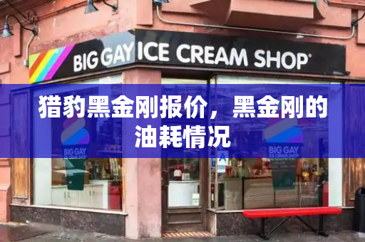 猎豹黑金刚报价，黑金刚的油耗情况-第1张图片-星选测评