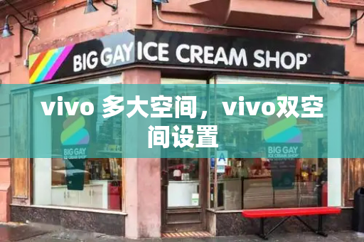 vivo 多大空间，vivo双空间设置