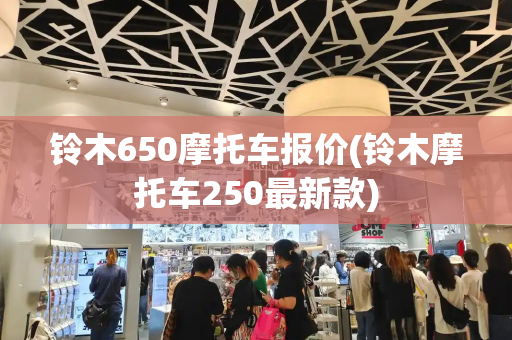 铃木650摩托车报价(铃木摩托车250最新款)