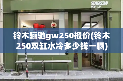 铃木骊驰gw250报价(铃木250双缸水冷多少钱一辆)-第1张图片-星选测评