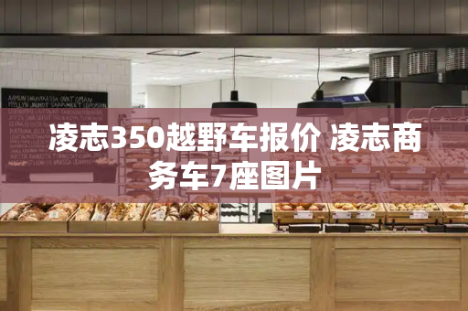 凌志350越野车报价 凌志商务车7座图片