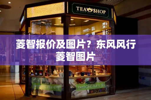 菱智报价及图片？东风风行菱智图片