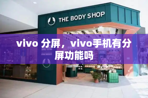vivo 分屏，vivo手机有分屏功能吗-第1张图片-星选测评
