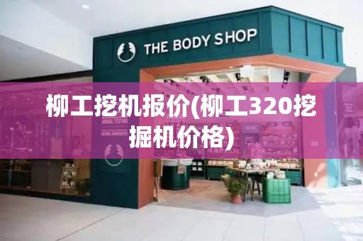 柳工挖机报价(柳工320挖掘机价格)