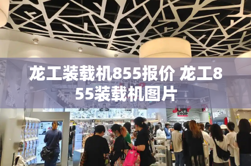 龙工装载机855报价 龙工855装载机图片