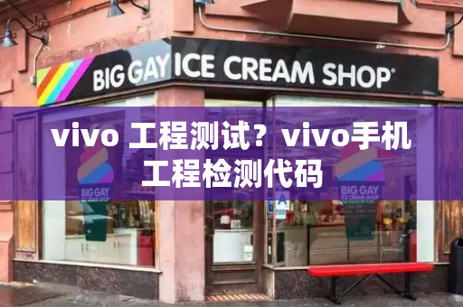 vivo 工程测试？vivo手机工程检测代码