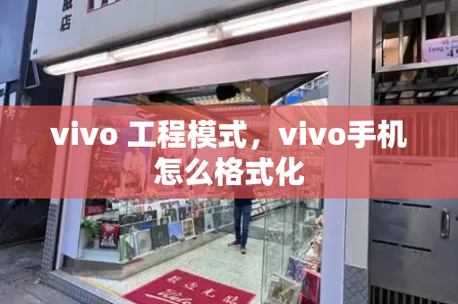 vivo 工程模式，vivo手机怎么格式化