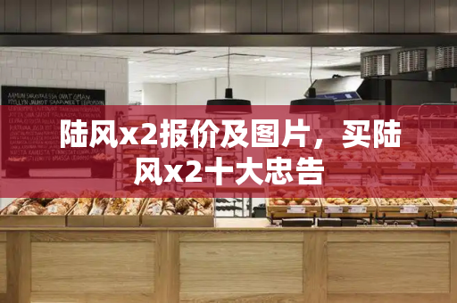 陆风x2报价及图片，买陆风x2十大忠告-第1张图片-星选测评