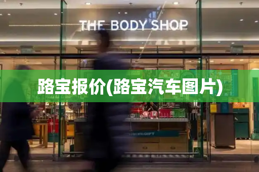 路宝报价(路宝汽车图片)-第1张图片-星选测评