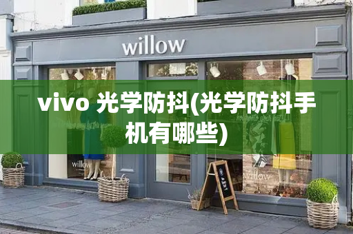 vivo 光学防抖(光学防抖手机有哪些)-第1张图片-星选测评