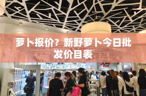 萝卜报价？新野萝卜今日批发价目表