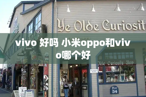 vivo 好吗 小米oppo和vivo哪个好