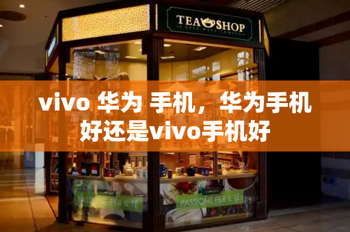 vivo 华为 手机，华为手机好还是vivo手机好-第1张图片-星选测评