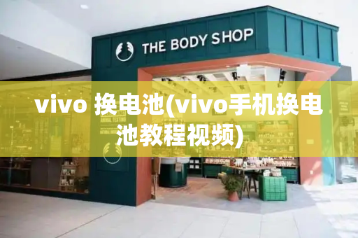 vivo 换电池(vivo手机换电池教程视频)-第1张图片-星选测评