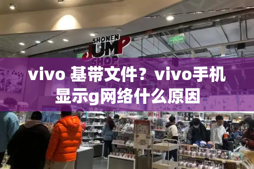 vivo 基带文件？vivo手机显示g网络什么原因