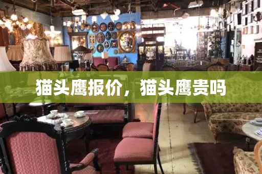猫头鹰报价，猫头鹰贵吗-第1张图片-星选测评