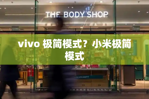 vivo 极简模式？小米极简模式-第1张图片-星选测评