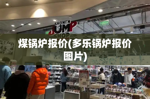 煤锅炉报价(多乐锅炉报价图片)-第1张图片-星选测评