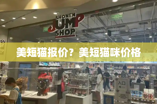 美短猫报价？美短猫咪价格