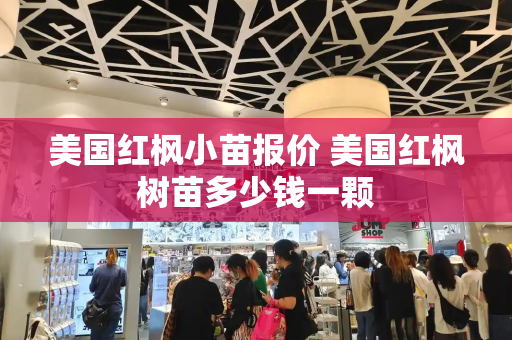 美国红枫小苗报价 美国红枫树苗多少钱一颗-第1张图片-星选测评