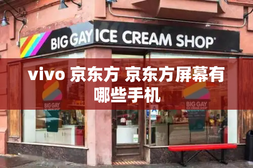 vivo 京东方 京东方屏幕有哪些手机