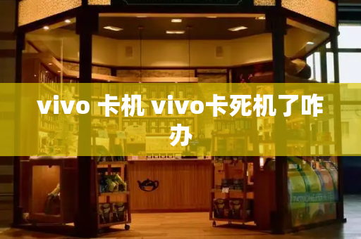 vivo 卡机 vivo卡死机了咋办
