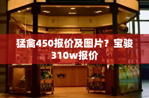 猛禽450报价及图片？宝骏310w报价-第1张图片-星选测评