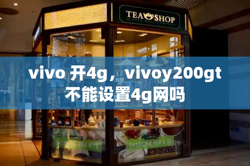 vivo 开4g，vivoy200gt不能设置4g网吗