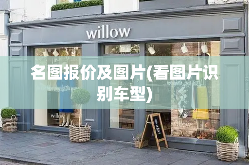名图报价及图片(看图片识别车型)-第1张图片-星选测评