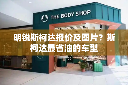 明锐斯柯达报价及图片？斯柯达最省油的车型-第1张图片-星选测评