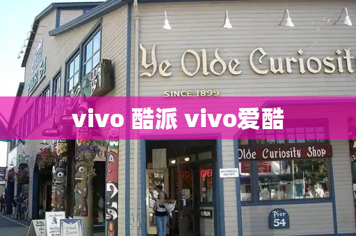 vivo 酷派 vivo爱酷-第1张图片-星选测评