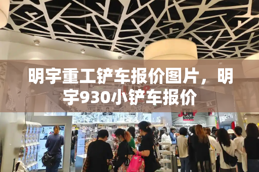 明宇重工铲车报价图片，明宇930小铲车报价-第1张图片-星选测评