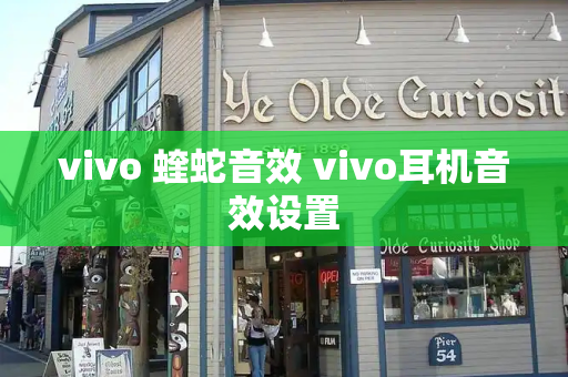 vivo 蝰蛇音效 vivo耳机音效设置-第1张图片-星选测评