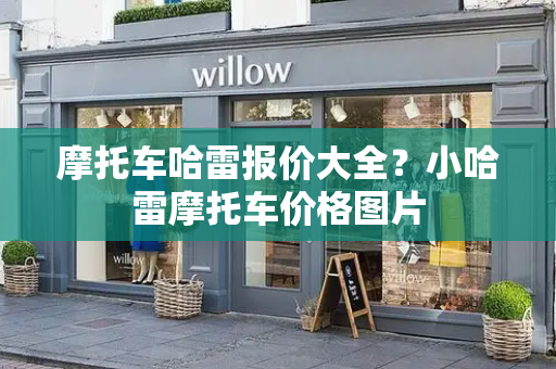 摩托车哈雷报价大全？小哈雷摩托车价格图片