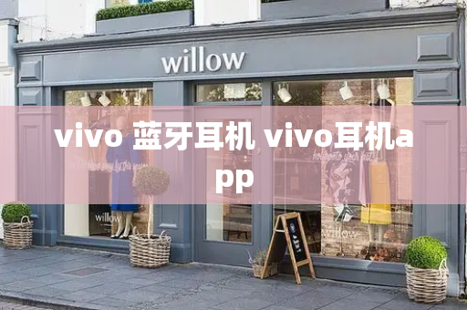 vivo 蓝牙耳机 vivo耳机app