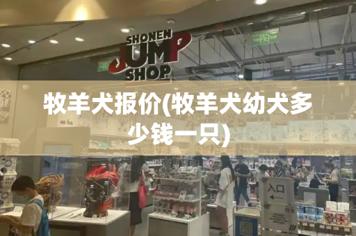 牧羊犬报价(牧羊犬幼犬多少钱一只)