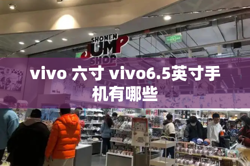 vivo 六寸 vivo6.5英寸手机有哪些-第1张图片-星选测评